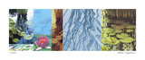 Water Lilies Limited Edition by Lois Bender