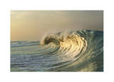 Outerbanks Limited Edition by Matthew Lusk