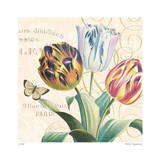 La Tulip Limited Edition by Paula Scaletta