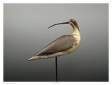 Gelston Whimbrel Prints by Robert Shaw