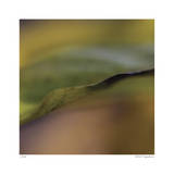Autumn No 3 Limited Edition by Eva Mueller