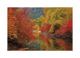 Nason Creek IV Limited Edition by Donald Paulson