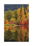 Nason Creek III Limited Edition by Donald Paulson