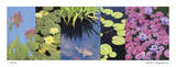 Koi Pond Limited Edition by Lois Bender