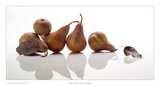 Bosc Pears Print by David Wagner