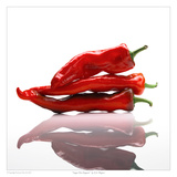 Sugar Hot Peppers Prints by David Wagner