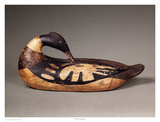 Wilson Merganser Posters by Robert Shaw