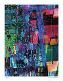 Oaxacan Fabric Meld Limited Edition by Stephen Donwerth