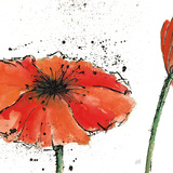 Not a California Poppy III Prints by Chris Paschke