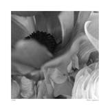Botanical Study 12 Limited Edition by Stacy Bass