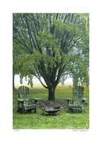 Moss Chairs Limited Edition by Stacy Bass