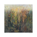 Canyon Road Limited Edition by Jan Wagstaff