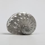 Beachside Treasure IV Prints by Assaf Frank