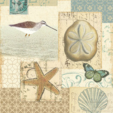 Coastal Collage III Posters by Alain Pelletier