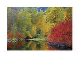 Nason Creek I Limited Edition by Donald Paulson