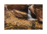Zion National Park I Limited Edition by Donald Paulson