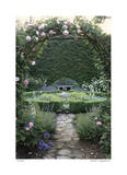 Rose Entry Limited Edition by Stacy Bass
