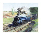 Mallard Premium Giclee Print by Terence Cuneo