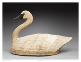 NC Canvas Swan Poster by Robert Shaw