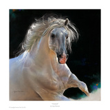Untamed Prints by Lesley Harrison
