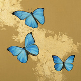 Cerulean Butterfly II Poster von Joanna Charlotte