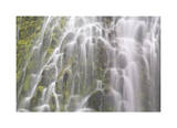 Proxy Falls IV Limited Edition by Donald Paulson