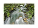 Cascade River Limited Edition by Donald Paulson