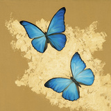 Cerulean Butterfly I Arte por Joanna Charlotte