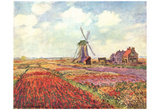 Claude Monet (Tulips of Holland) Art Poster Print Prints
