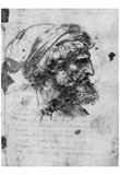 Leonardo da Vinci (Head of a Pharisee) Art Poster Print Prints