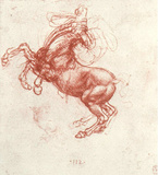 Leonardo da Vinci (Study of a rebel horse) Art Poster Print Masterprint