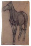 Edgar Germain Hilaire Degas (Step horse in position) Art Poster Print Photo