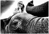 Circus Elephant Close Up Archival Photo Poster Posters