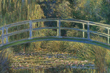 Claude Monet The Water-Lily Pond Art Print Poster Masterprint
