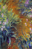 Claude Monet Irises Art Print Poster Masterprint