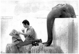 Elephant Taking Trainers Lunch Archival Photo Poster Photo
