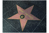 Hollywood Walk of Fame (Kermit the Frog) Art Poster Print Prints