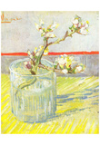 Vincent Van Gogh (Almond blossom branches) Art Poster Print Posters