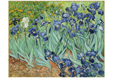 Vincent Van Gogh (Irises) Art Poster Print Print
