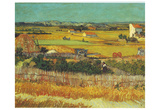Vincent Van Gogh (Harvest at Arles) Art Poster Print Prints