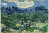 Vincent Van Gogh (The Olive Trees) Art Poster Print Photo