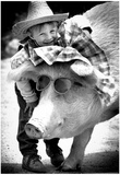 Shriners Circus Pig Archival Photo Poster Prints