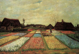 Vincent Van Gogh Bulb Fields Art Print Poster Masterprint