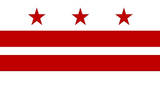 Washington DC Flag Poster Print Masterprint