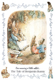 Beatrix Potter Benjamin Bunny Art Print Poster Posters