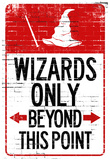 Wizards Only Beyond This Point Sign Poster Posters