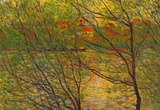Claude Monet His Bank the Ile de la Grande Jatte Art Print Poster Masterprint