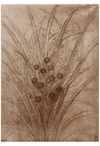 Leonardo da Vinci (Flowering reed grass) Art Poster Print Posters