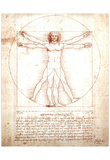 Leonardo Da Vinci DaVinci Study of Man Art Print POSTER Posters