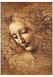 Leonardo Da Vinci (Female Head, La Scapigliata) Art Poster Print  Art Poster Print Prints